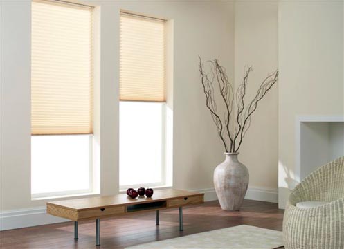 Blinds By Vertican RGO Office Products