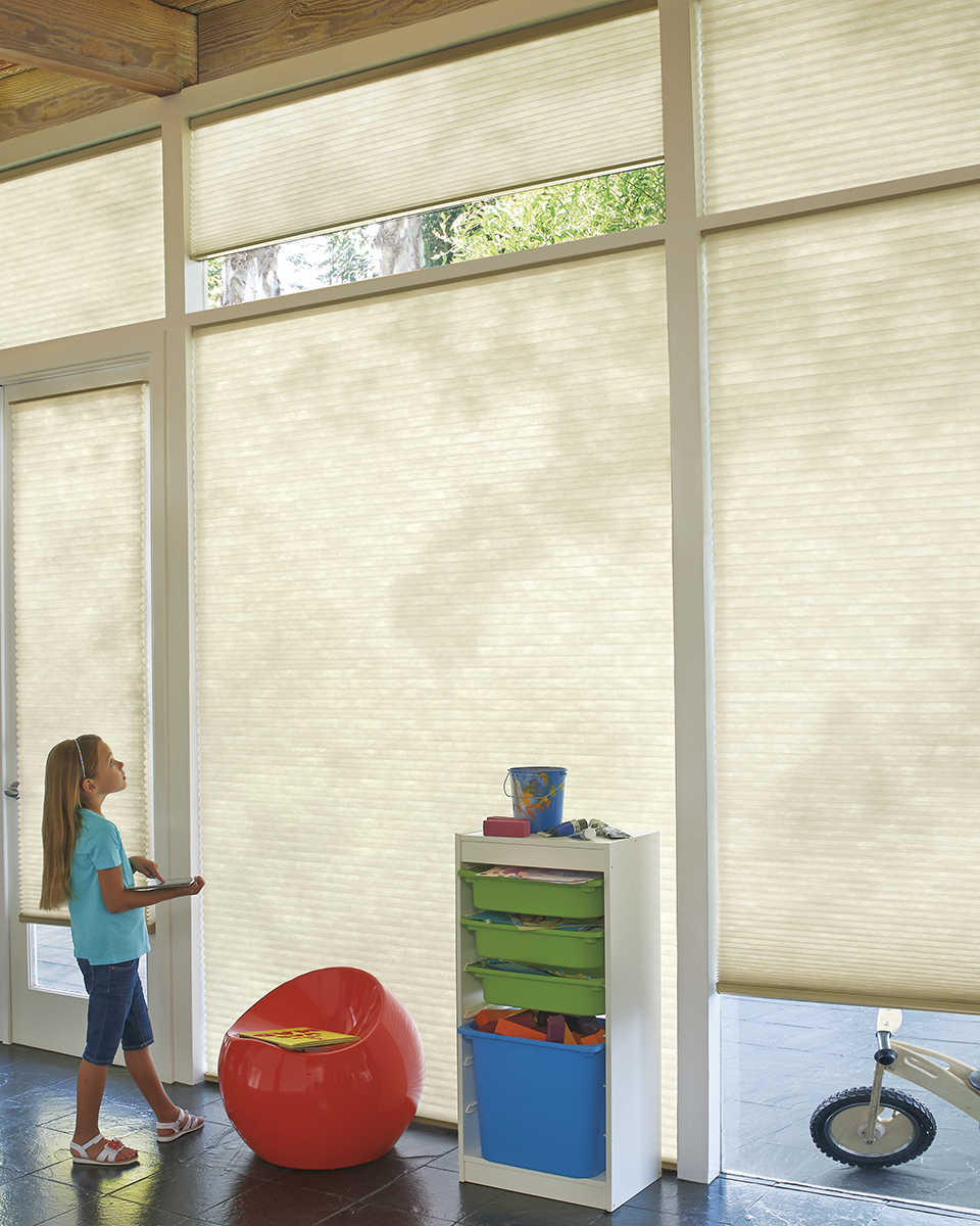 Hunter douglas powerview rgo products