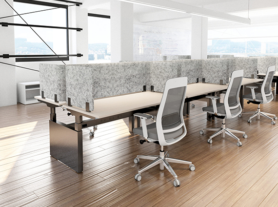 AMQ adjustable Kinex tables with privacy screens and white Siya work chairs