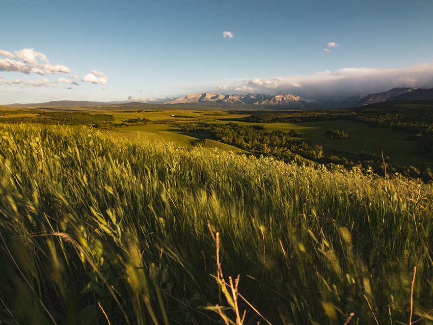 Locations _1 Up_850x638